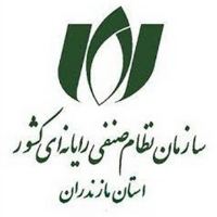 سازمان نظام صنفی رایانه ای کشور